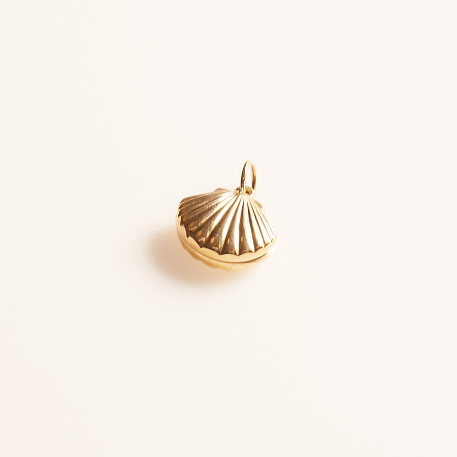 Shell Locket